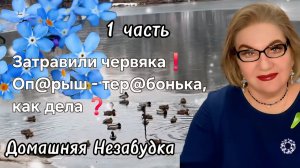 1 часть. Затравили червячка❗️С@пля- тер@бонька ,как дела❓️