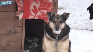 Новости Заречного от 13.02.26