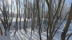 янвпрь 2026, Минск