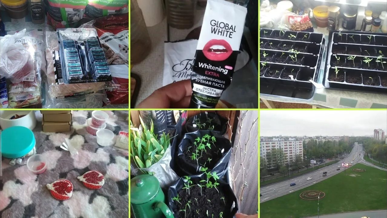 28-2024 Новинки из СВЕТОФОРА Собираю НАБОРЫ Пересаживаю рассаду томатов Отзывы __ Elena Pero