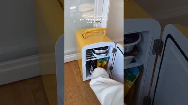 Страшная история от даши рокс "Отслеживающие сообщения." ФОНЫ НЕ МОИ!!!