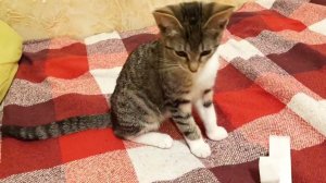 Уборка #236 отчет за 23 января, утренний и вечерний)