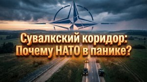 Сувалкский коридор: как тихая граница стала главной головной болью Запада