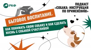 Подкаст «Собака: Инструкция по применению». Выпуск 4 «Бытовое воспитание»