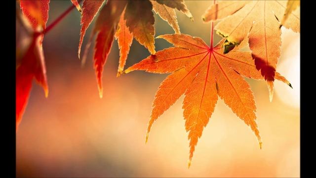 ГРУСТИТ КЛЕНОВАЯ ЛИСТВА