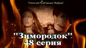 Впечатления от 48 серии турецкого сериала "Зимородок"