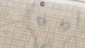 как выглядит лицо протатипа в poppy playtime