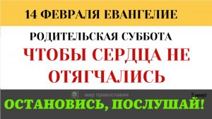 14  февраля О связи между молитвой за умерших и ожиданием Суда.  5 минут(5 минут)