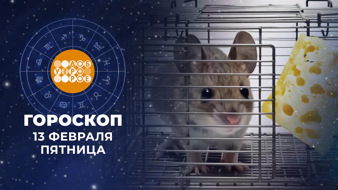 Гороскоп на 13 февраля для всех знаков зодиака смотреть онлайн