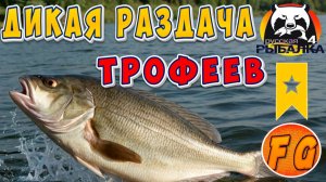 ХОРОШАЯ РАЗДАЧА ТРОФЕЕВ. Russian Fishing 4. Русская рыбалка 4. рр4. Трофы на озере Янтарное.