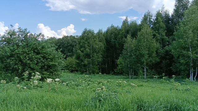 Time to rest. смотреть онлайн