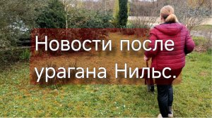 Ураган во Франции и страховая выплата: наш опыт