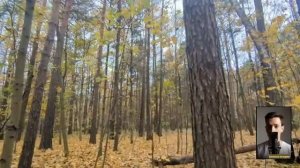 Третья жена.