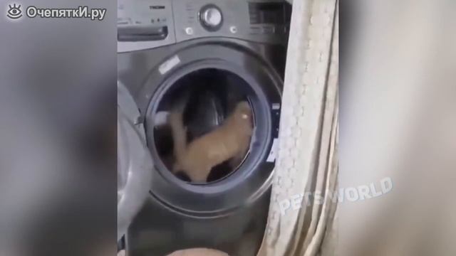 Весёлые сюжеты смотреть онлайн