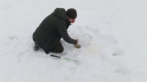 VID_20260213_174545_785