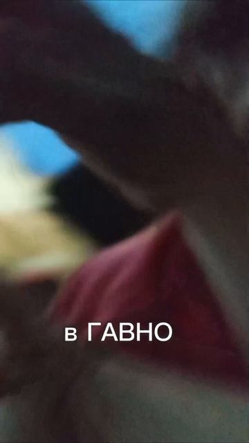 взрыв яппи#сёстры #рек