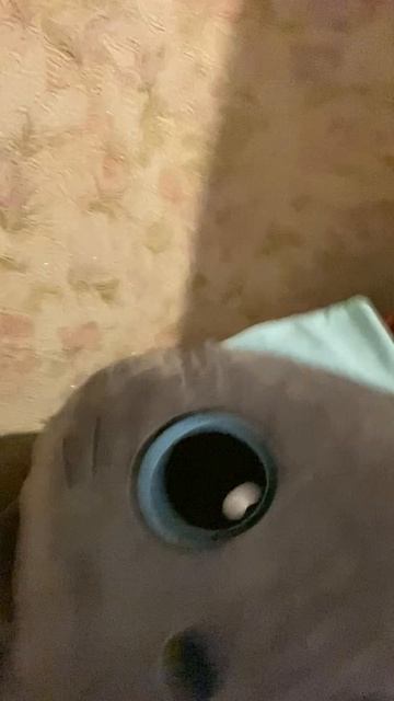 Репортаж смотреть онлайн