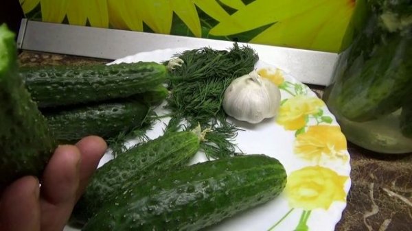 Огурец Бонус. Оцениваю его вкусовые качества.