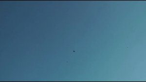 Среднеазиатские двухчубые Флегонтыча 2016г.