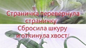 Страничка перевернула страничку. Сбросила кожу и откинула хвост.