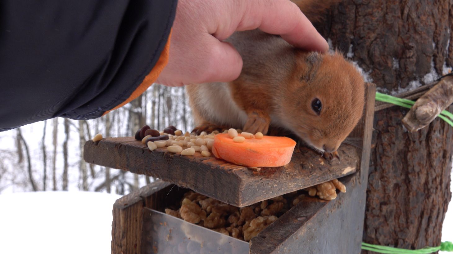 Не узнал Рыжую. Она беременна смотреть онлайн