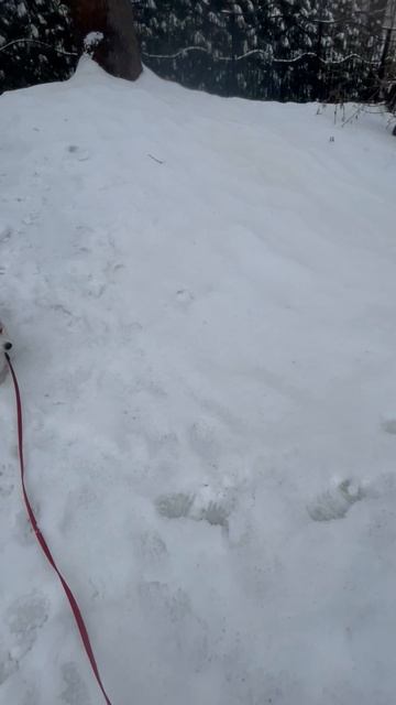 Гуляем на поле около 28 школы