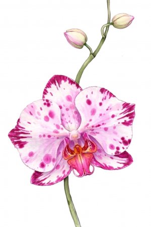 Вопрос ответ