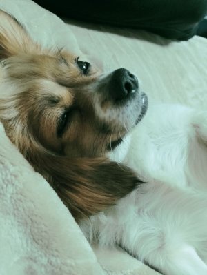 довнень ко не виделись