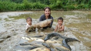 Ловим гигантского карпа для продажи на рынке. Приготовление корма для свиней. Жизнь Дуонг