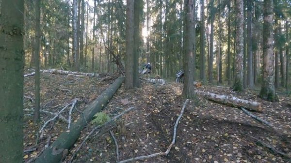 Pit Pro Rally ( 1й блин комом)