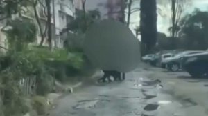 В Сочи задержали мужчину, который начал драку с ножом из-за конфликта в очереди