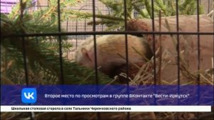 Рубрика «Топ недели»