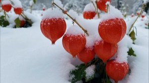 К Святому Валентину