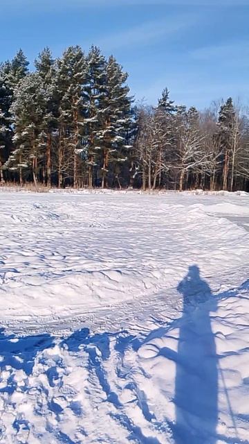 Лыжня в парке смотреть онлайн