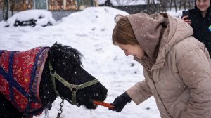 Сотрудницы МТРК «Мир» и активистки Белорусского союза женщин накормили лошадей «на пенсии» в морозы