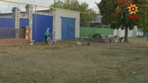 Чăваш Республикин Министрсен Кабинечĕн ларăвĕнче пĕлтерĕшлĕ ыйтусене сӳтсе яврĕç