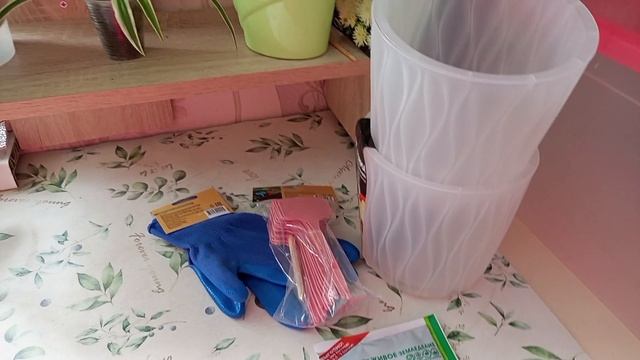 Растения на кухне и мои покупки из Светофора и Fix price смотреть онлайн