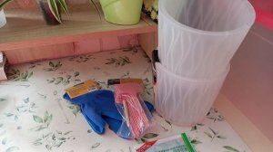 Растения на кухне и мои покупки из Светофора и Fix price