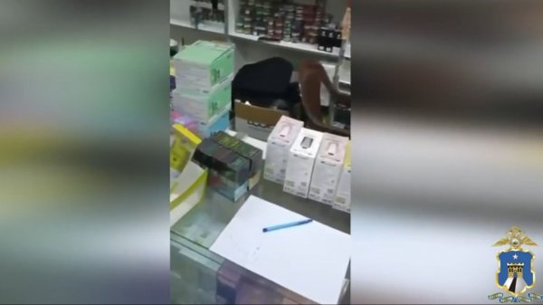 На Ставрополье обнаружили партию нелегальных товаров с содержанием никотина на 10 млн рублей