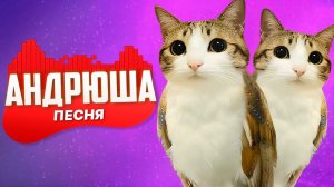 ПЕСНЯ ПРО КОТ ПТИЦА МЯУЛ MEOWL МЕМ КЛИП ПЕСНЯ ПЧЕЛОВОД ПАРОДИЯ