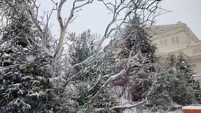 Театральная площадь 20260212 смотреть онлайн