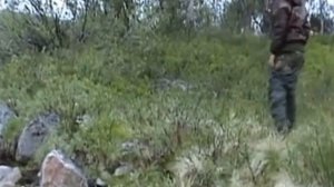 Рыбалка в тундре .