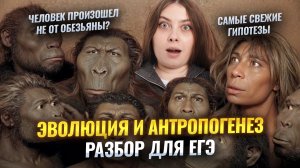 Антропогенез, эволюция | Вся теория для ЕГЭ по биологии | Свежие гипотезы из мира науки | Умскул
