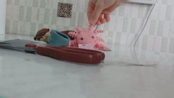 Милка заказала себе подарок!?