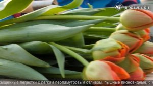 В преддверии Международного женского дня специалисты Россельхознадзора провели контроль цветов