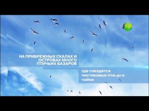 Уход на профилактику канала Живая планета 15.10.2025