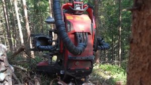 Экстремальные лесозаготовки в Альпах 🏔 - склон 35° / Комбайн, тяговые лебедки и комплект для трансп