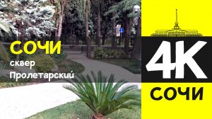 СОЧИ 4К / СОЧИ - сквер Пролетарский  / 7 февраля 2026 / #путешествие #отдых #море