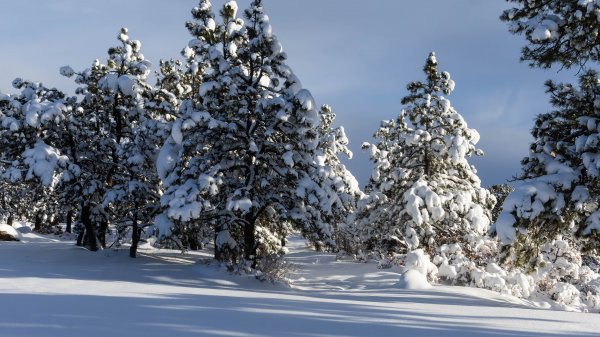 «Дорога в Лаго-Наки»