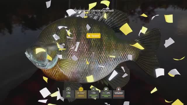 Первая ТРОФЕЙНАЯ рыбка / Russian Fishing 4 смотреть онлайн